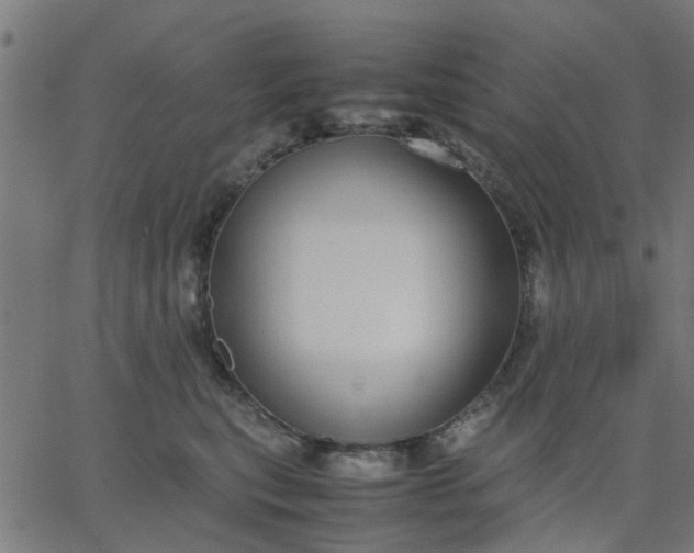 X0000067870567200604271739