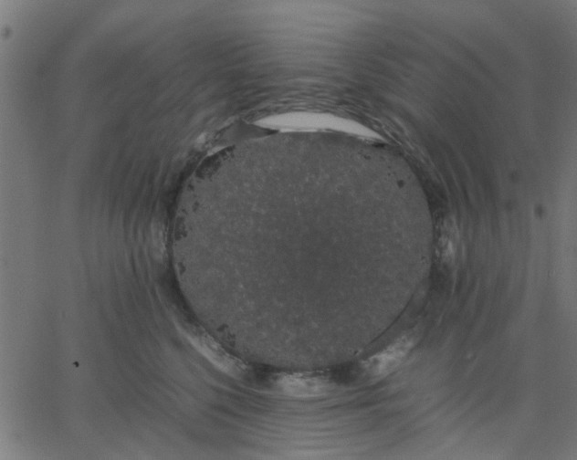 X0000067870568200604271739