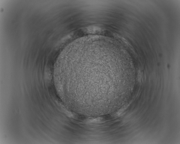 X0000067870569200604271739