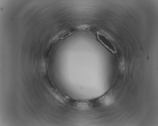 X0000067870572200604271739