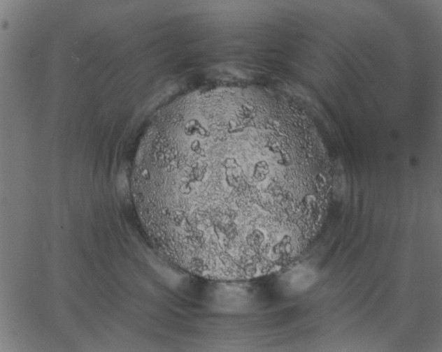 X0000067870573200604271739