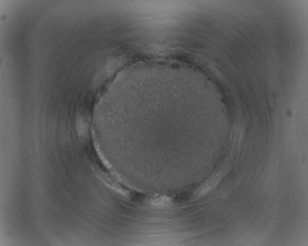 X0000067870576200604271739