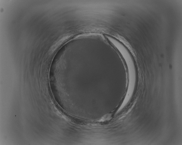 X0000067870577200604271738