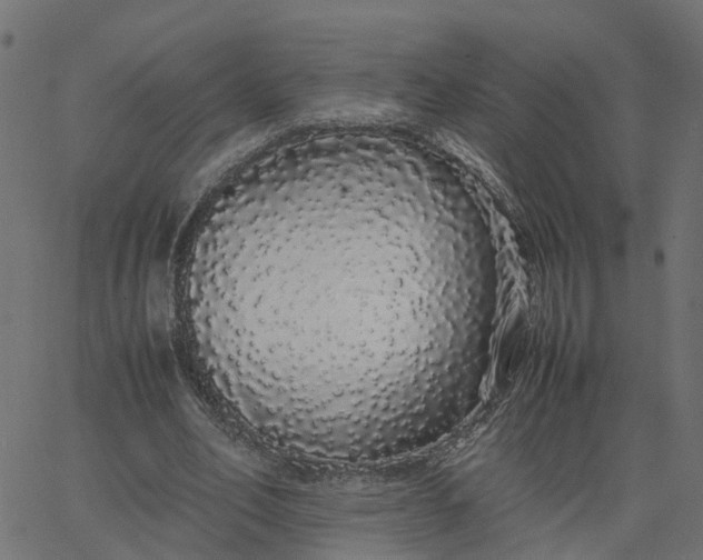 X0000067870582200604271738