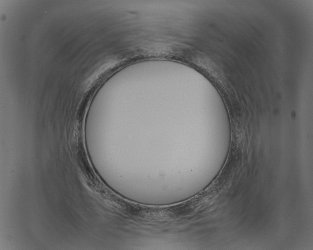 X0000067870583200604271738