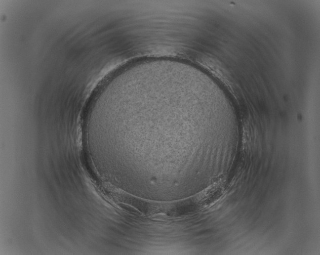 X0000067870584200604271738