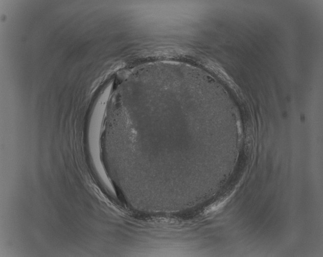 X0000067870585200604271738