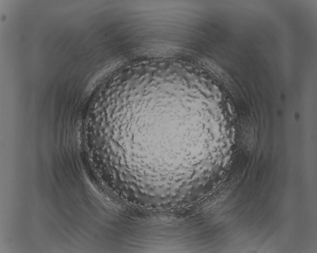 X0000067870586200604271738