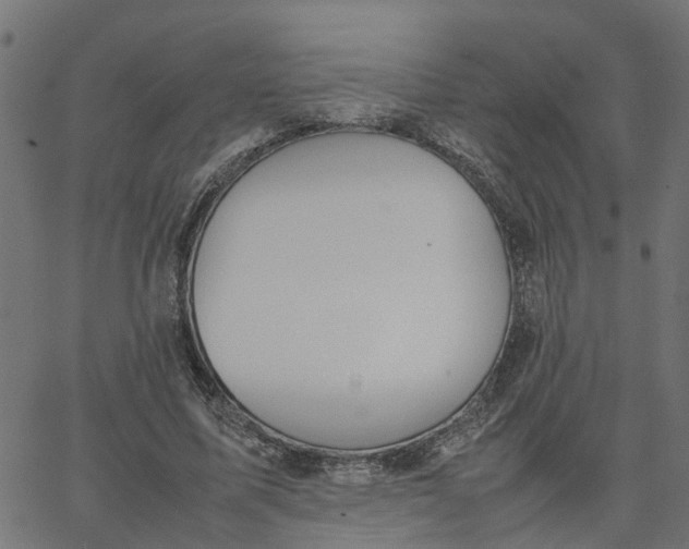 X0000067870587200604271738