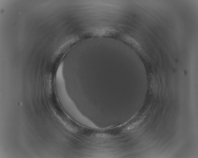 X0000067870590200604271738