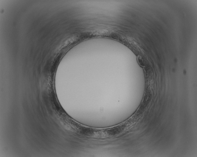 X0000067870591200604271738