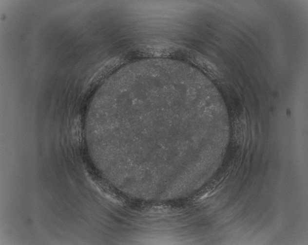 X0000067870594200604271738