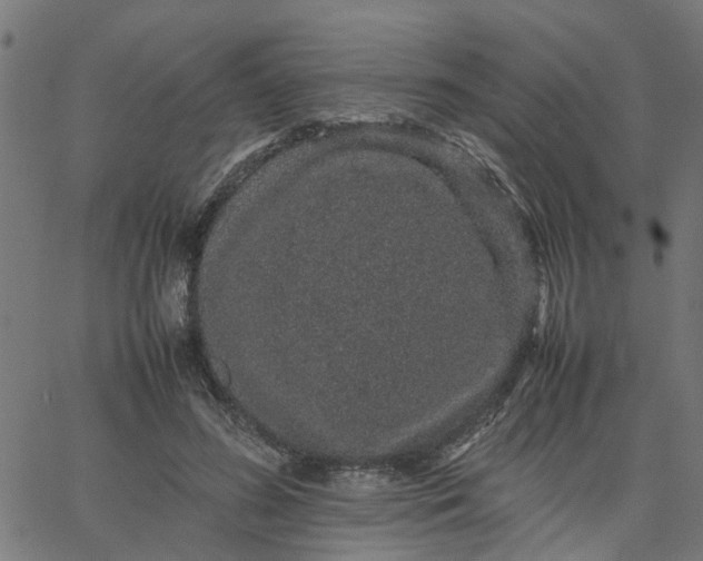 X0000067870596200604271738