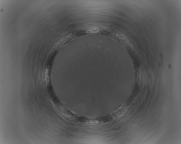 X0000067870598200604271738