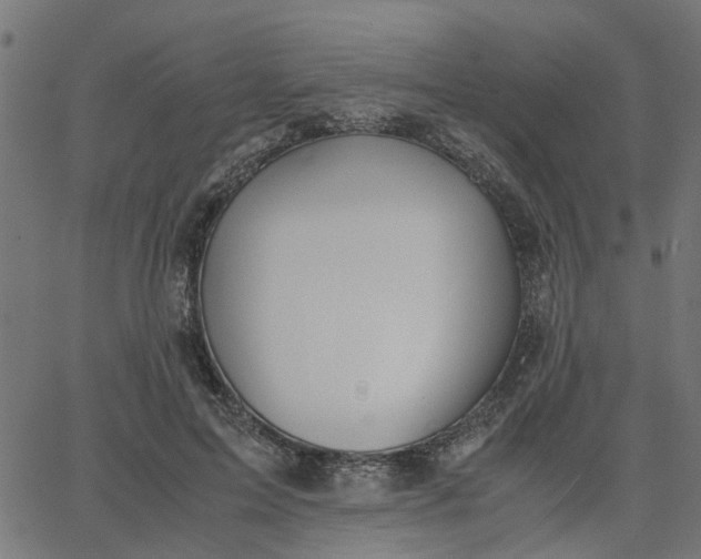 X0000067870599200604271738