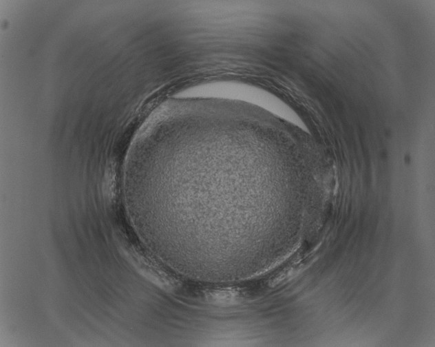 X0000067870600200604271738