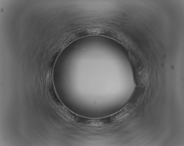 X0000067870601200604271738