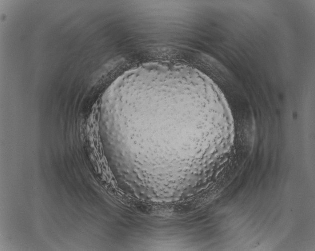 X0000067870602200604271737