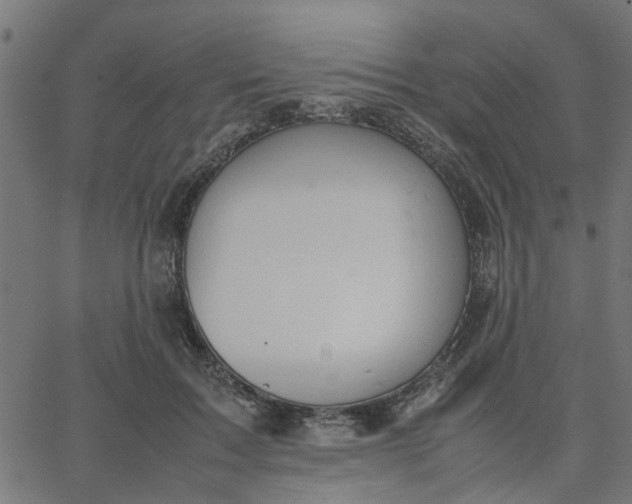 X0000067870603200604271737