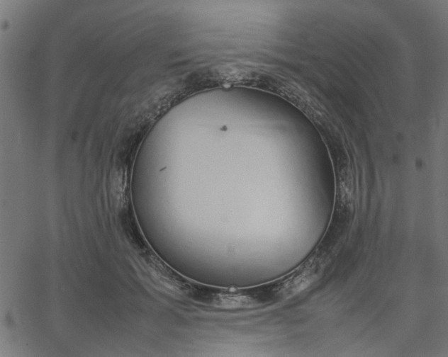 X0000067870605200604271737