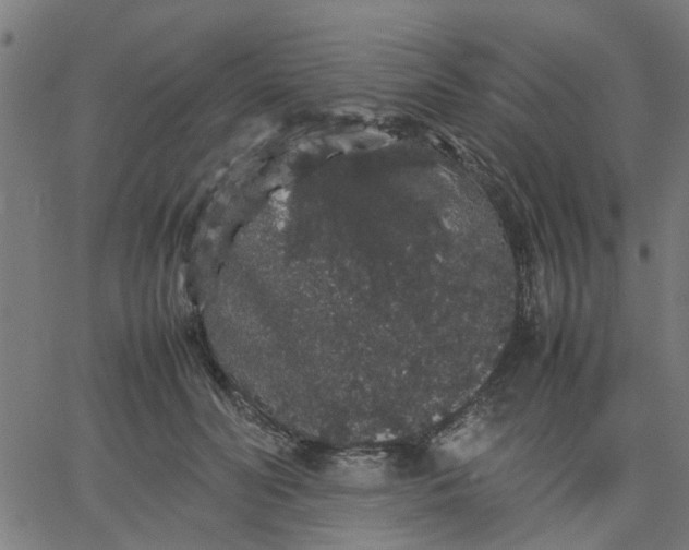 X0000067870606200604271737