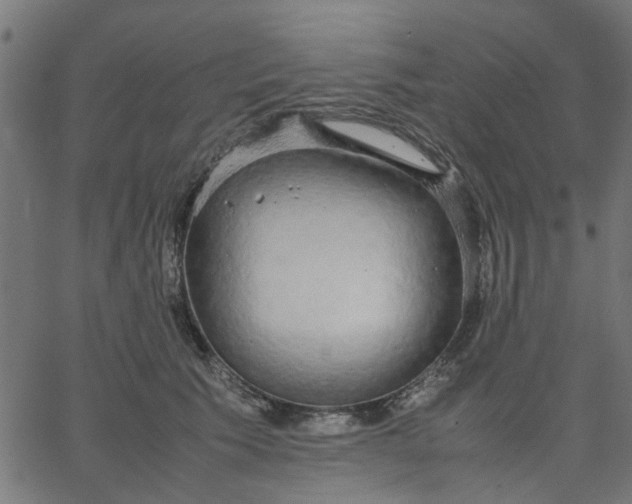 X0000067870609200604271737