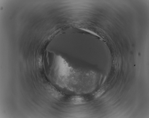 X0000067870610200604271737