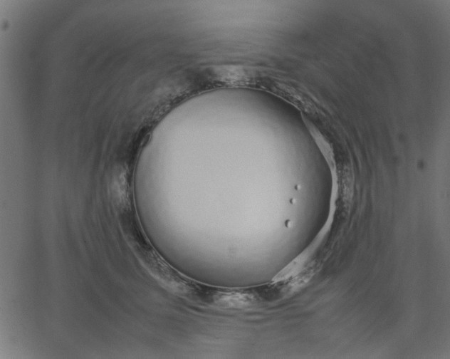 X0000067870611200604271737