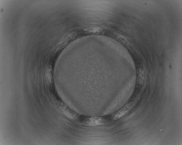 X0000067870612200604271737