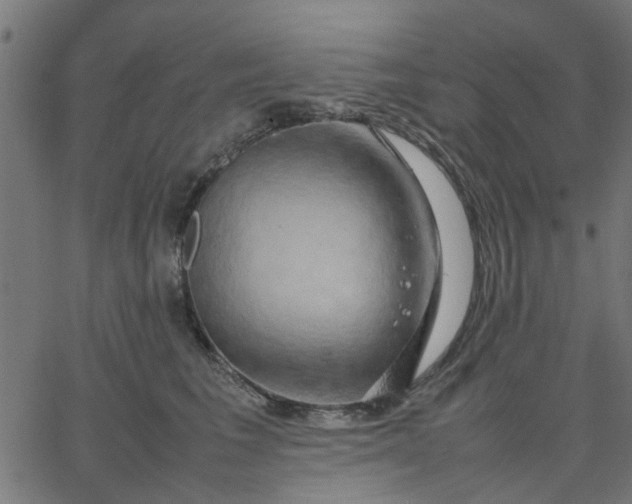 X0000067870613200604271737