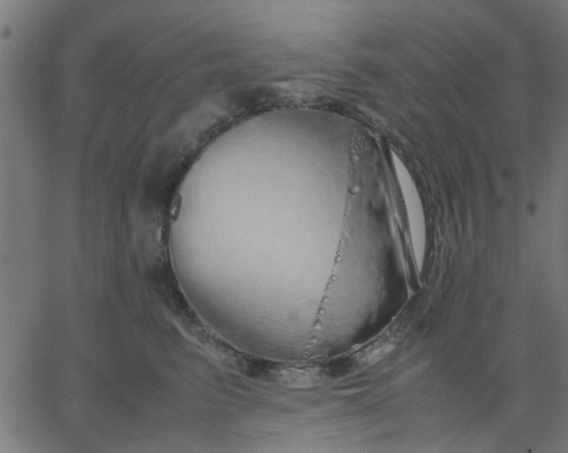 X0000067870615200604271737