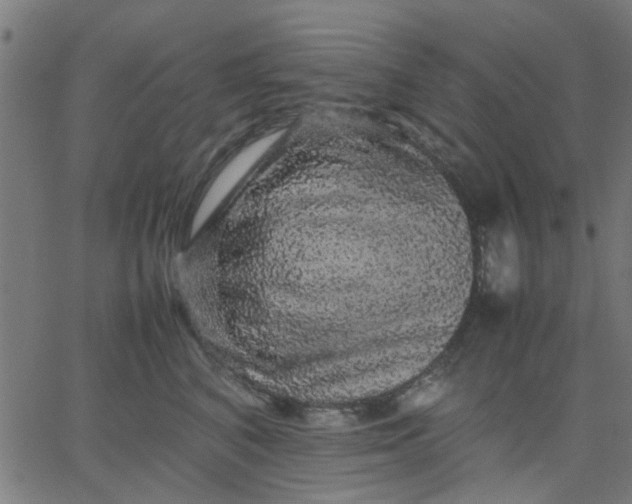 X0000067870616200604271737