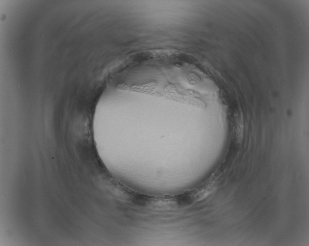 X0000067870619200604271737