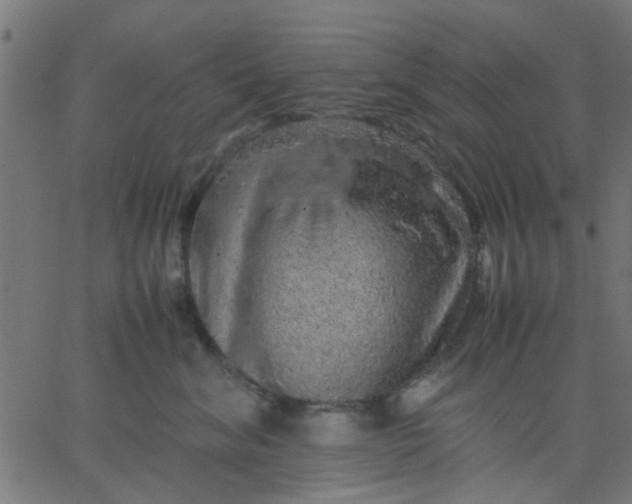 X0000067870620200604271737