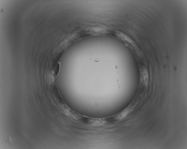 X0000067870621200604271737