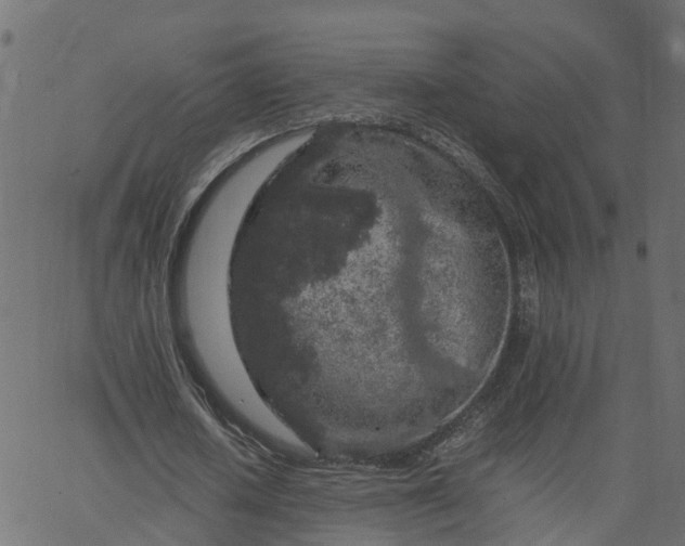 X0000067870626200604271736