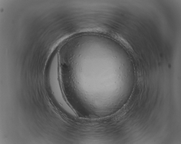 X0000067870628200604271736