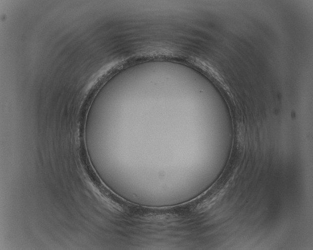 X0000067870629200604271736