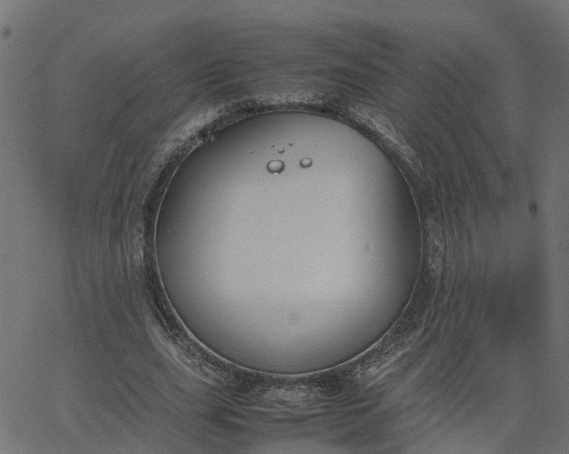 X0000067870631200604271736