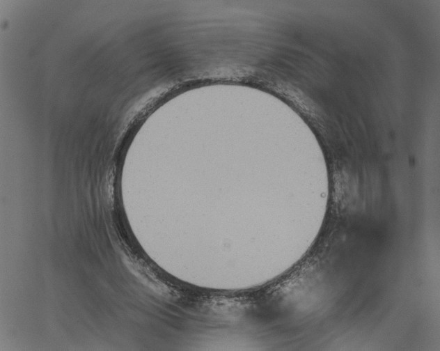 X0000067870632200604271736