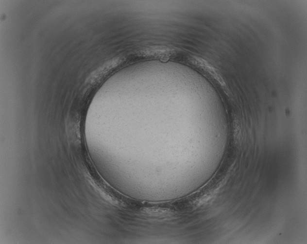 X0000067870633200604271736