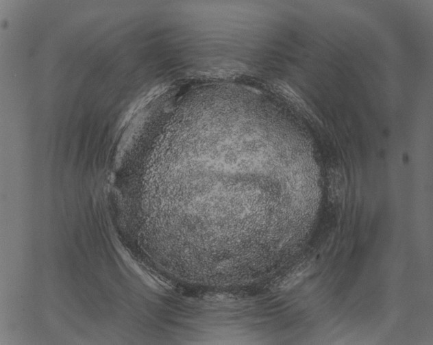 X0000067870634200604271736