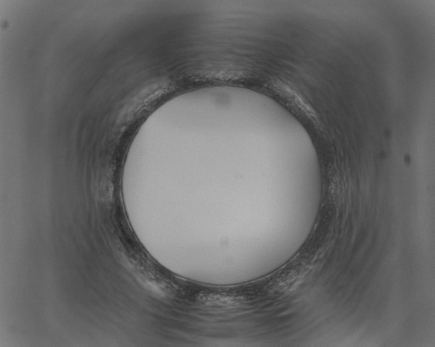 X0000067870635200604271737