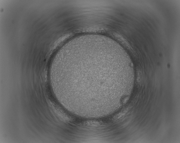 X0000067870636200604271737