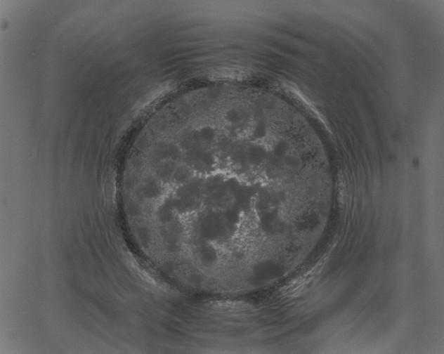 X0000067870637200604271737