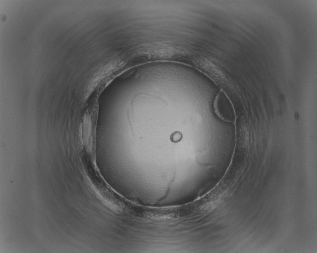 X0000067870638200604271737