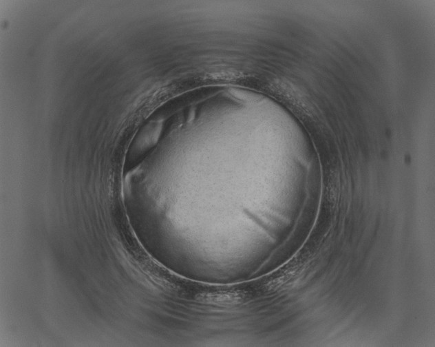 X0000067870639200604271737