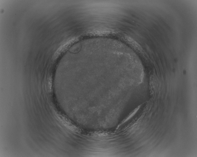 X0000067870640200604271737