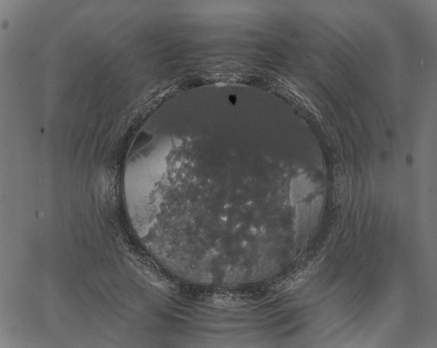 X0000067870641200604271737