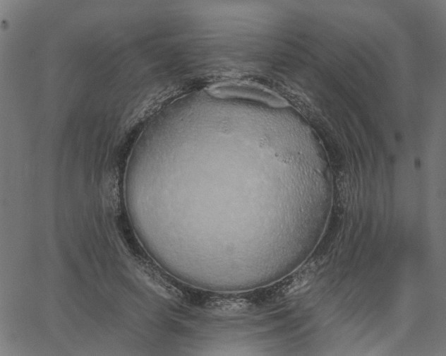 X0000067870642200604271737